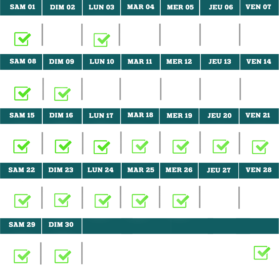 06 24 bilan algo